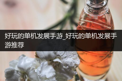 好玩的单机发展手游_好玩的单机发展手游推荐