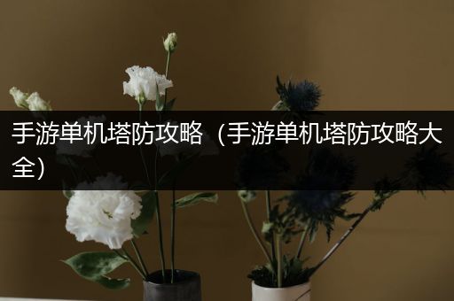 手游单机塔防攻略（手游单机塔防攻略大全）