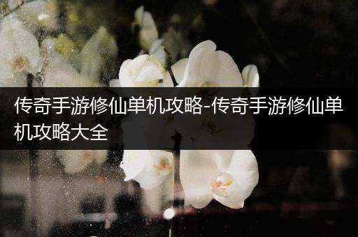 传奇手游修仙单机攻略-传奇手游修仙单机攻略大全