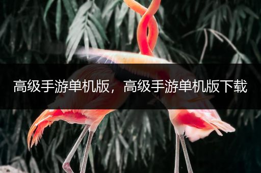 高级手游单机版，高级手游单机版下载