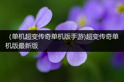 （单机超变传奇单机版手游)超变传奇单机版最新版