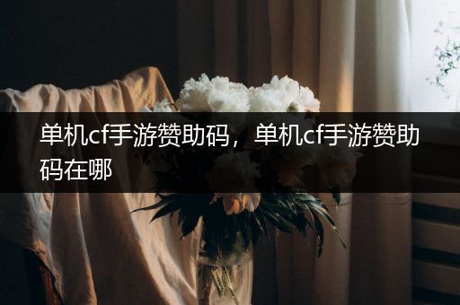 单机cf手游赞助码，单机cf手游赞助码在哪