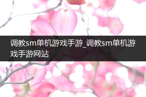 调教sm单机游戏手游_调教sm单机游戏手游网站