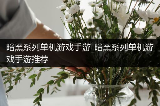 暗黑系列单机游戏手游_暗黑系列单机游戏手游推荐