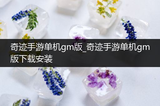 奇迹手游单机gm版_奇迹手游单机gm版下载安装