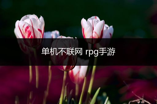 单机不联网 rpg手游