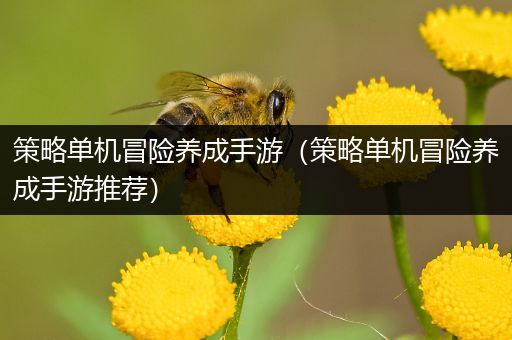 策略单机冒险养成手游（策略单机冒险养成手游推荐）