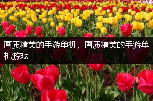 画质精美的手游单机，画质精美的手游单机游戏