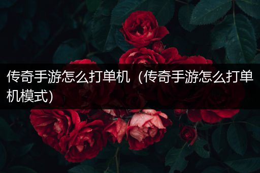 传奇手游怎么打单机（传奇手游怎么打单机模式）