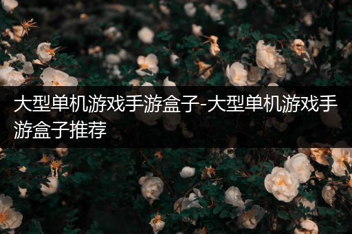 大型单机游戏手游盒子-大型单机游戏手游盒子推荐