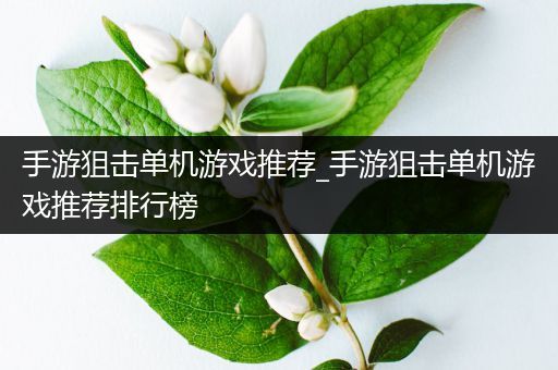 手游狙击单机游戏推荐_手游狙击单机游戏推荐排行榜