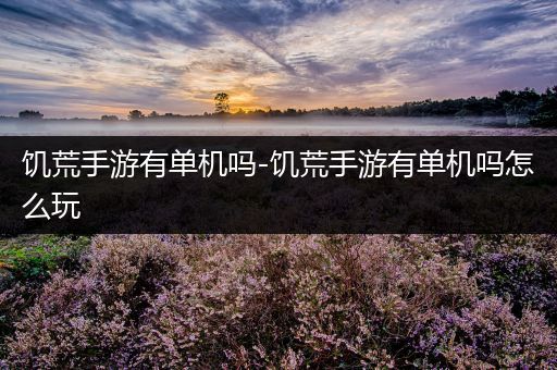 饥荒手游有单机吗-饥荒手游有单机吗怎么玩