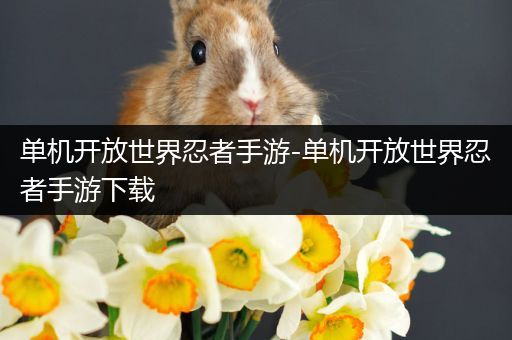 单机开放世界忍者手游-单机开放世界忍者手游下载