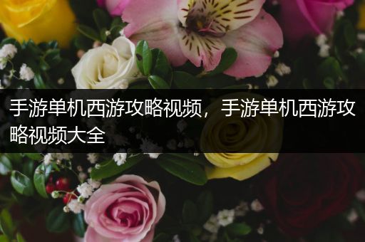 手游单机西游攻略视频，手游单机西游攻略视频大全
