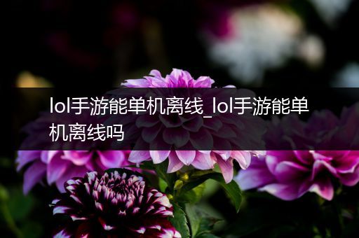 lol手游能单机离线_lol手游能单机离线吗