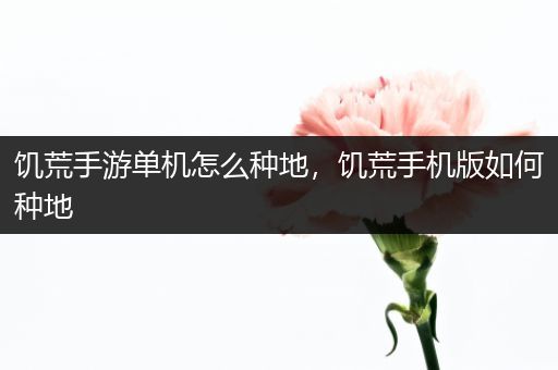 饥荒手游单机怎么种地，饥荒手机版如何种地