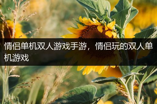 情侣单机双人游戏手游，情侣玩的双人单机游戏