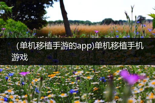 （单机移植手游的app)单机移植手机游戏