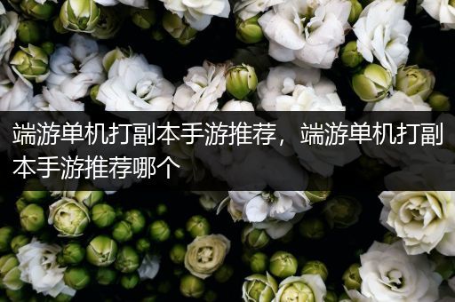 端游单机打副本手游推荐，端游单机打副本手游推荐哪个