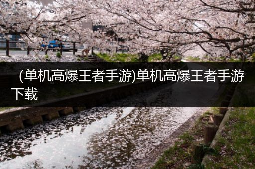 （单机高爆王者手游)单机高爆王者手游下载