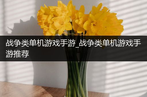 战争类单机游戏手游_战争类单机游戏手游推荐