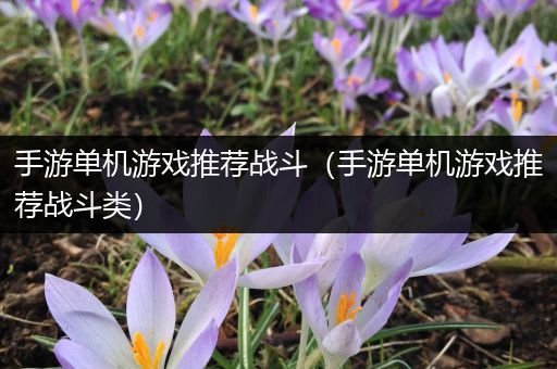 手游单机游戏推荐战斗（手游单机游戏推荐战斗类）