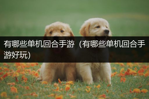 有哪些单机回合手游（有哪些单机回合手游好玩）