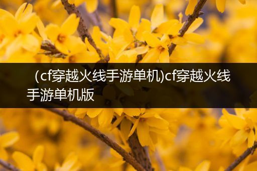 （cf穿越火线手游单机)cf穿越火线手游单机版