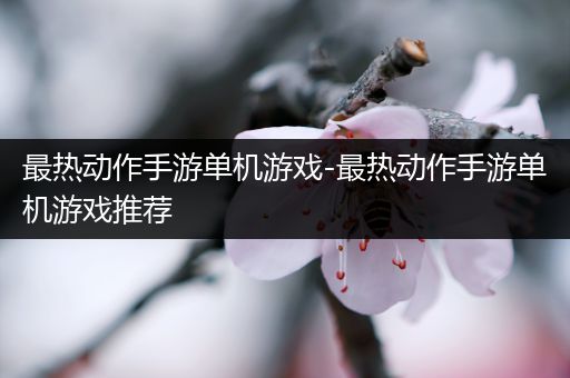 最热动作手游单机游戏-最热动作手游单机游戏推荐