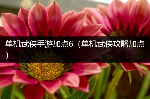 单机武侠手游加点6（单机武侠攻略加点）