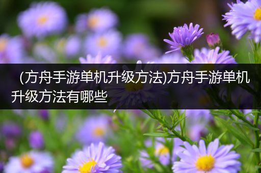 （方舟手游单机升级方法)方舟手游单机升级方法有哪些