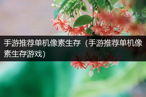 手游推荐单机像素生存（手游推荐单机像素生存游戏）