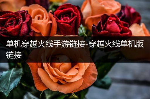 单机穿越火线手游链接-穿越火线单机版链接