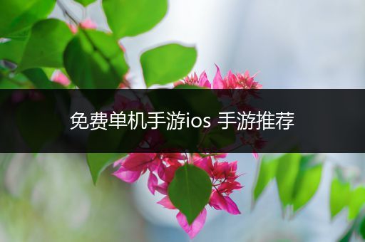 免费单机手游ios 手游推荐