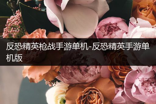 反恐精英枪战手游单机-反恐精英手游单机版