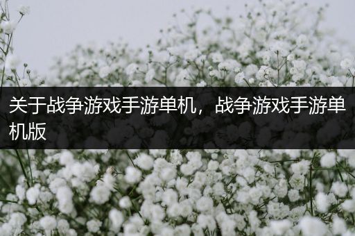 关于战争游戏手游单机，战争游戏手游单机版