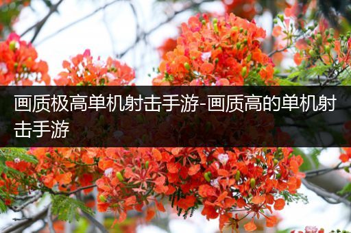 画质极高单机射击手游-画质高的单机射击手游