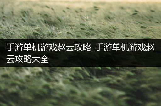 手游单机游戏赵云攻略_手游单机游戏赵云攻略大全