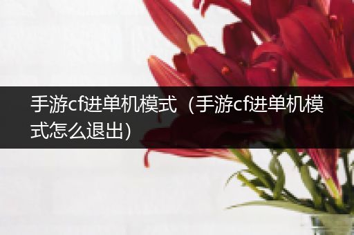 手游cf进单机模式（手游cf进单机模式怎么退出）