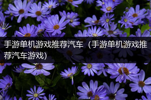 手游单机游戏推荐汽车（手游单机游戏推荐汽车游戏）