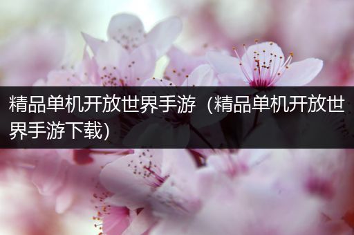 精品单机开放世界手游（精品单机开放世界手游下载）