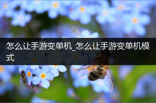 怎么让手游变单机_怎么让手游变单机模式
