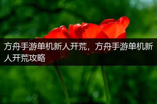 方舟手游单机新人开荒，方舟手游单机新人开荒攻略