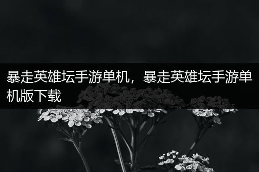 暴走英雄坛手游单机，暴走英雄坛手游单机版下载